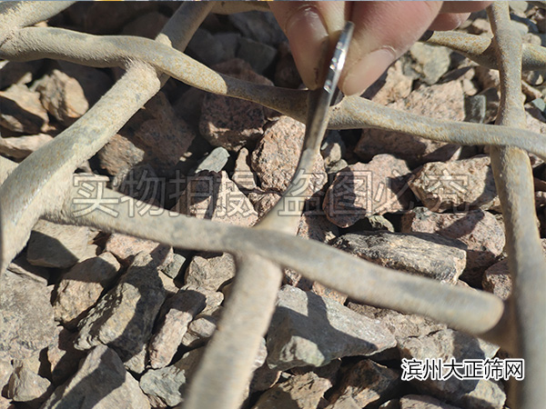 锰钢筛网