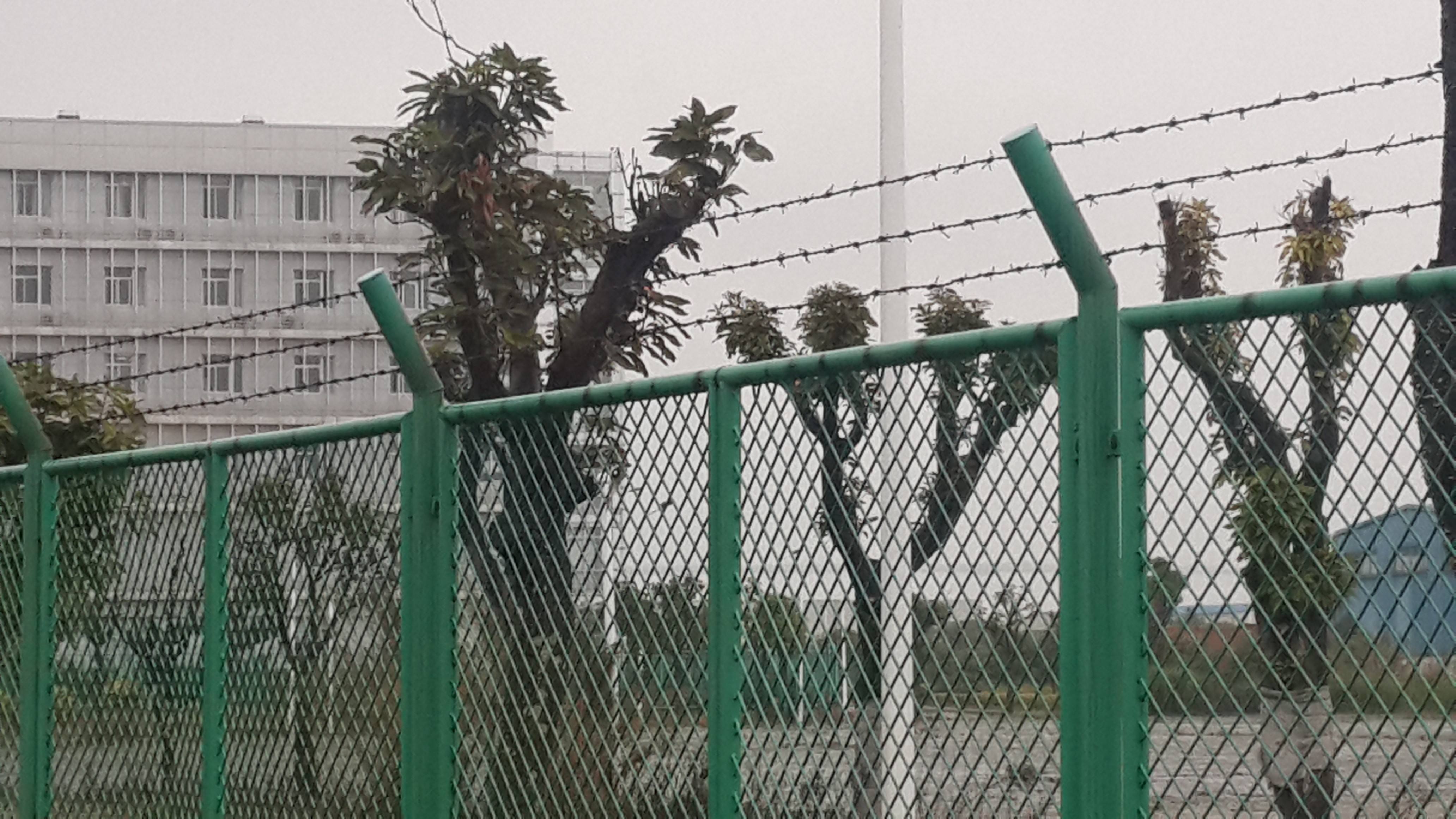 护栏网